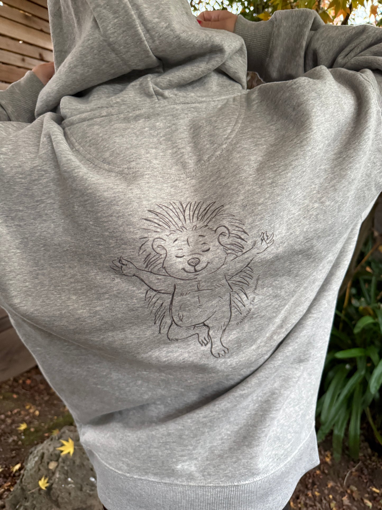 Boundary Season Organic  Hoodie