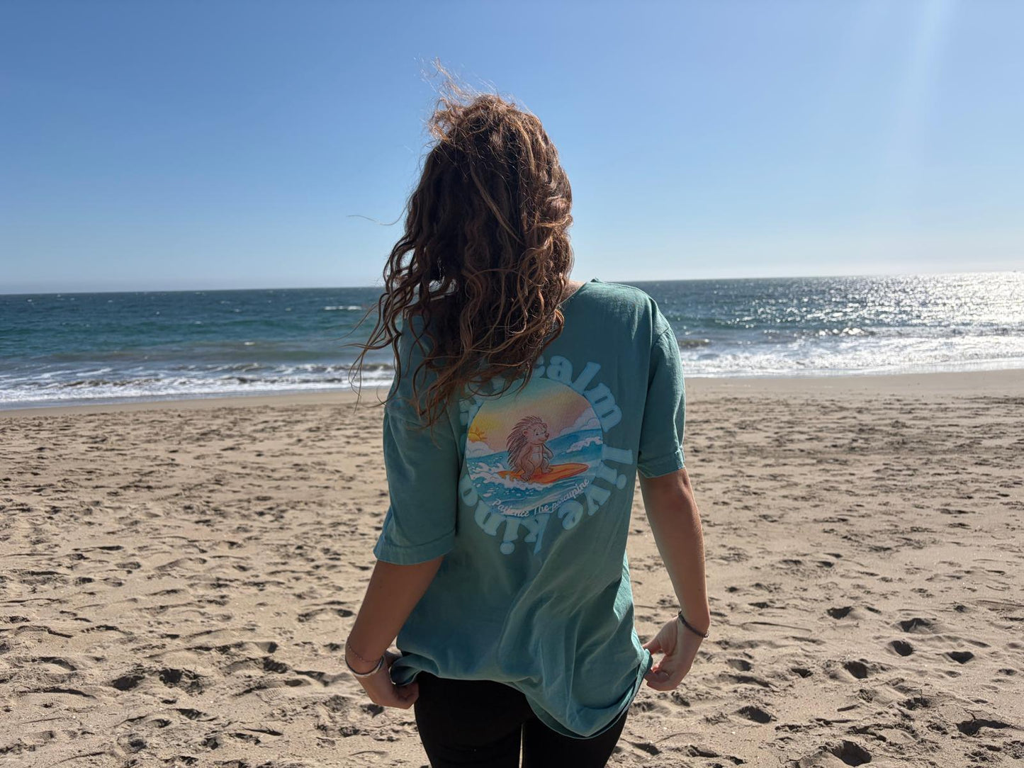 The Boundary Tee garment-dyed heavyweight t-shirt